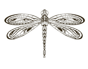 Ornamental hand drawn vintage vector Dragonfly.