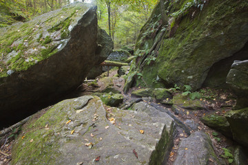 Obraz premium A view of the Ice Glen in Stockbridge, Massachusetts.