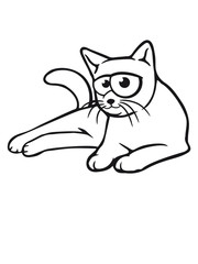 funny comic cartoon cat lying