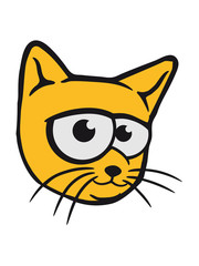 funny comic cartoon cat face