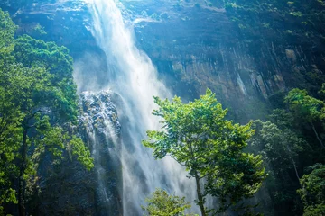 Foto op Canvas The waterfall. The waterfall with the mountains in the country of Sri Lanka © eranda