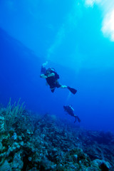 Fototapeta na wymiar Colorfull reef and group of divers, Cayo Largo, Cuba