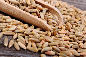 Rye grain with spoon on wooden background