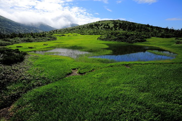 八甲田山　田茂萢岳の湿原