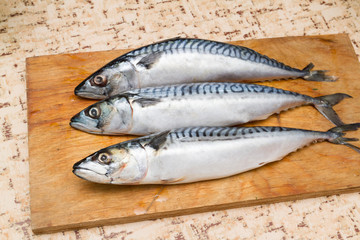 Three mackerel on a Board on the table.
