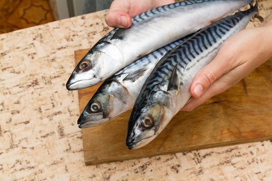 A woman chef slices a fish mackrel on a wooden Board