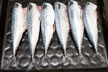 Cooking fish mackerel on a tray in the oven