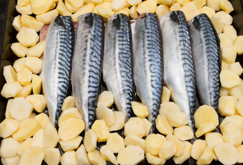 Cooking fish mackerel on a tray in the oven
