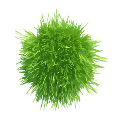 Ball green grass