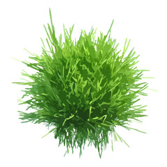 Vector illustration of fresh green grass ball