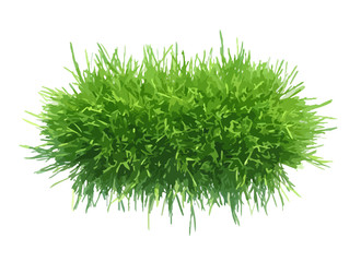 Vector illustration tuft of grass for the banner