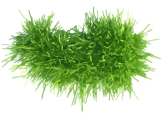 Vector illustration grass