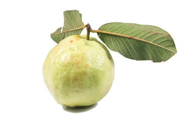 isolated guava on white background
