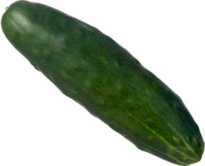 Side view of single cucumber isolated on white background