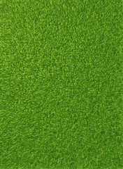 Plakat Vector background texture of fresh green grass