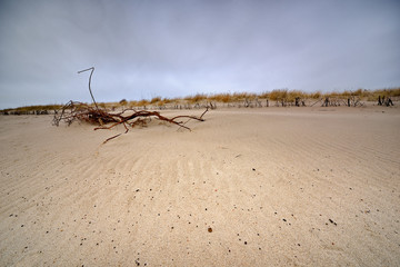 Baltic sea at beautiful landscape.