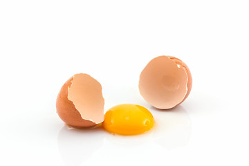 Cracked egg and shell.