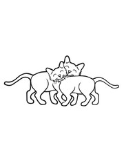 Cuddle 2 sweet cats couple love