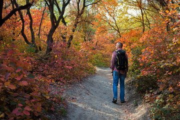 A man with a backpack goes on the trail through the trees covere