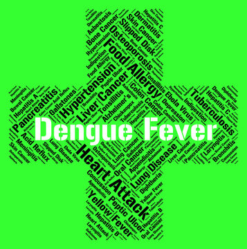 Dengue Fever Shows High Temperature And Attack