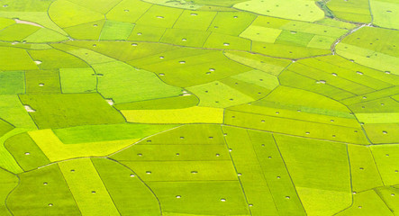 Colorful rice field in valley in Bac Son, Lang Son, Vietnam