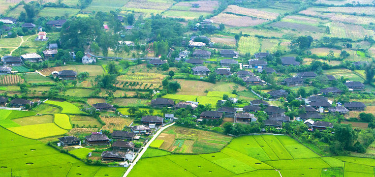 Colorful rice field in valley in Bac Son, Lang Son, Vietnam