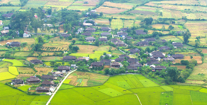 Colorful rice field in valley in Bac Son, Lang Son, Vietnam