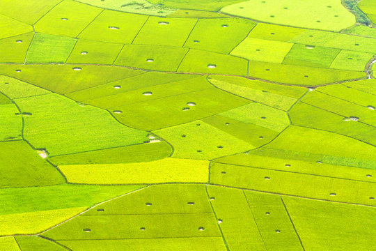 Colorful rice field in valley in Bac Son, Lang Son, Vietnam