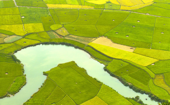 Colorful rice field in valley in Bac Son, Lang Son, Vietnam