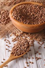Dry brown lentils on the table close-up. Vertical
