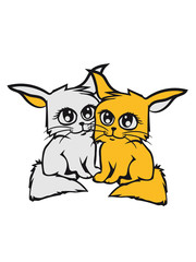 2 cute sweet little baby kitten couple