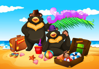 Two bears enjoy summer on the beach