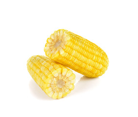 Boiled corn on white background