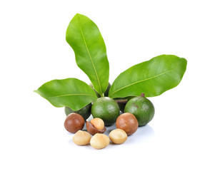 macadamia nuts on white background