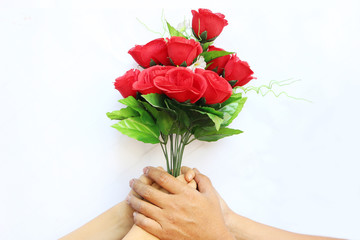 Hand holding bouquet of red roses over white background