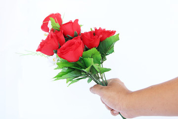 Hand holding bouquet of red roses over white background
