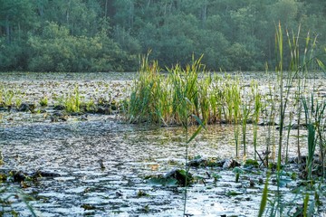 Süder Brahmhakensee 