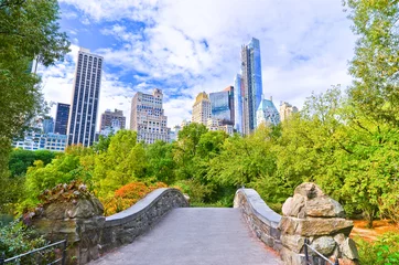 Keuken foto achterwand Central Park View of Central Park in New York City in autumn