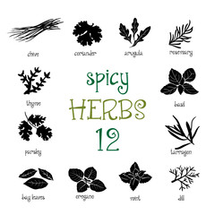 Web icon set of different spicy herbs - 93166891