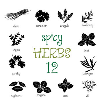 Web Icon Set Of Different Spicy Herbs