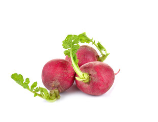 Fresh red radish  on white background