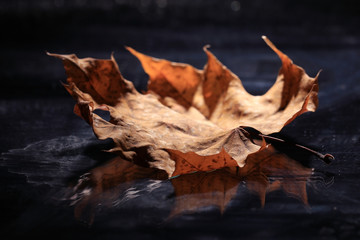 background texture of yellow leaves autumn leaf background