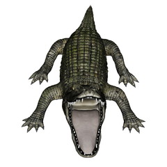 Caiman roaring - 3D render