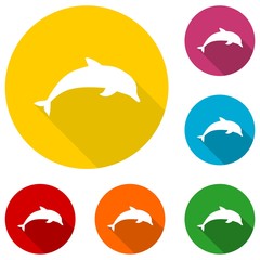 Dolphin icon with long shadow set