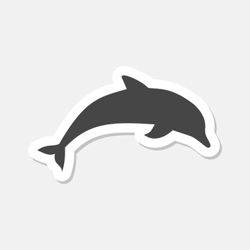 Dolphin stickers