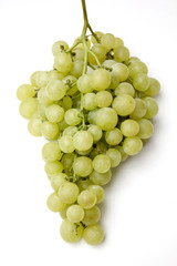 Grappe de raisin 10