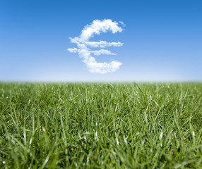 Green grass and Euro currency shaped clouds