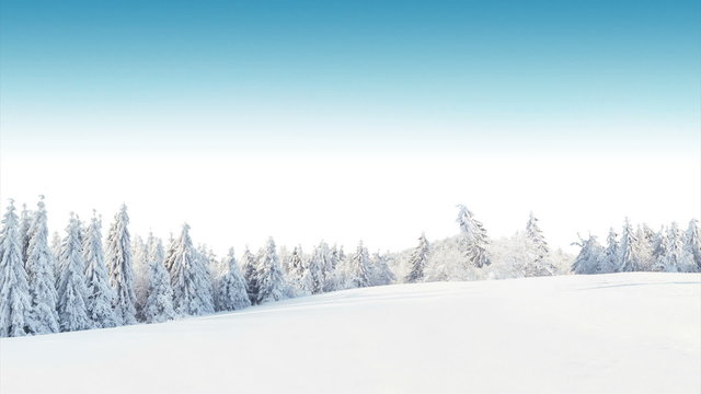 Winter snowy forest with meadow and blue sky