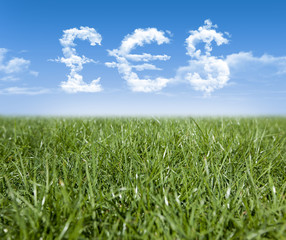 Obraz na płótnie Canvas Green grass and Pound, Euro, Dollar currency shaped clouds