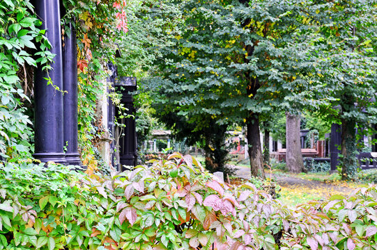 Grabsteine am Friedhof im Herbst